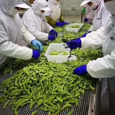 Certifié IQF Edamame congelé à la vapeur de qualité A pour les collations rapides et faciles