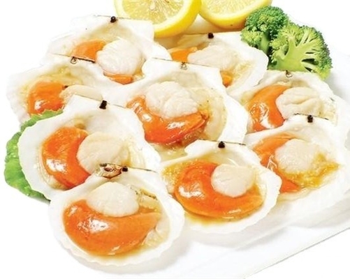 C'est pourquoi il est fortement recommandé de congeler les coquillages à demi-coquille avec un procédé de congélation BQF.