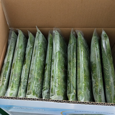 Shandong tranches d'algues glacées pour assaisonnement d'une salade sucrée et aigre 1 an