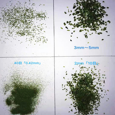 Algues séchées Lave verte Aonori Ulva Lactuca poudre améliorer votre cuisson ou soupe jeu