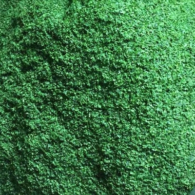 Pâtisseries riches en fibres Algues séchées Lave verte Aonori Ulva Lactuca Poudre de cuisson ou soupe