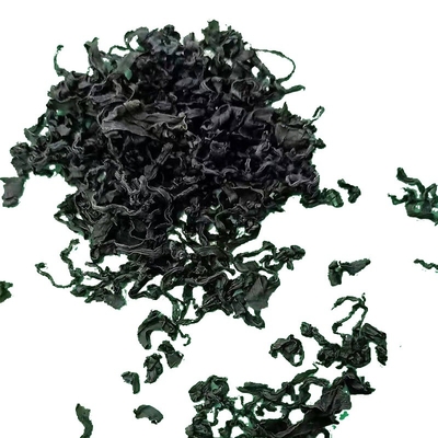 3 cm de longueur légumes déshydratés séchés Wakame Laver pour la restauration rapide 20 kg emballage en vrac