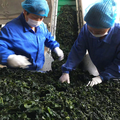 3 cm de longueur légumes déshydratés séchés Wakame Laver pour la restauration rapide 20 kg emballage en vrac