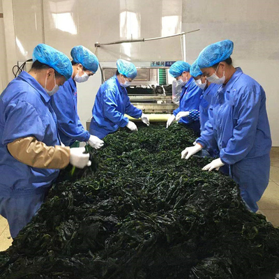 Ingrédients normaux Algues vert foncé Algues séchées odeur parfumée Algues séchées découpées Wakame