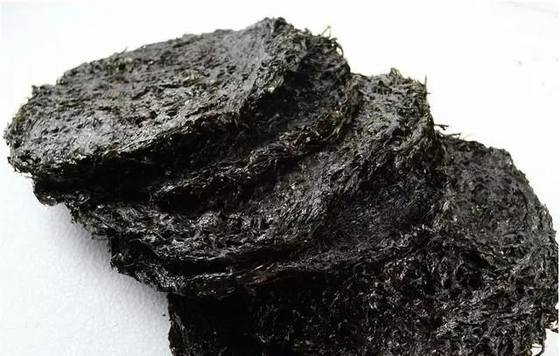 Le secret le mieux gardé de la variété Laver Porphyra Haitanensis