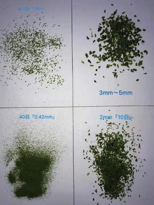 Obtenez les flocons d'algues AOSA Aonori séchées pour votre nourriture de sushi Un ingrédient incontournable