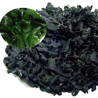 Ingrédients normaux Laver Variété Algues séchées coupées Wakame pour le marché chinois des fruits de mer