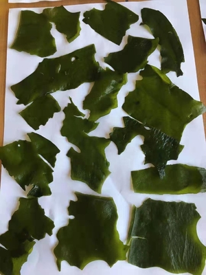 Ingrédients normaux Laver Variété Algues séchées coupées Wakame pour le marché chinois des fruits de mer