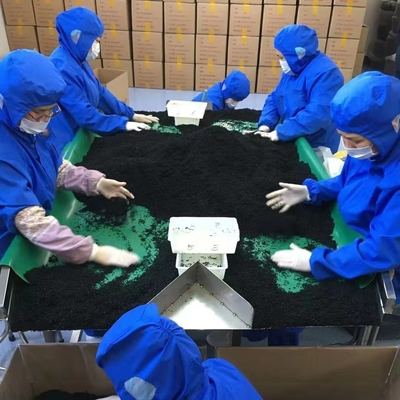 Ingrédients normaux Laver Variété Algues séchées coupées Wakame pour le marché chinois des fruits de mer