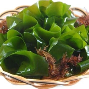 Type de stockage Normal 500g Chuka Wakame Algues séchées coupées Wakame