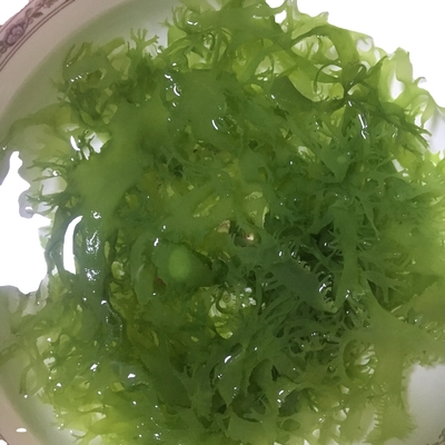 Algues séchées congelées Tosaka en rouge vert aromatisé assaisonné