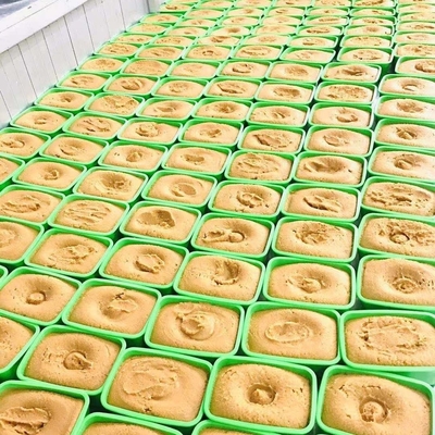 Sushi chaud, assaisonnement et saveur authentique de la pâte de soja brassée