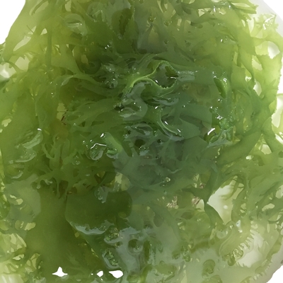 Algues séchées congelées Tosaka en rouge vert aromatisé assaisonné