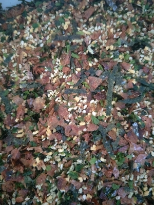 Autentique mélange d'algues séchées japonaises de sésame Furikake Bonito Nori Komi en poudre