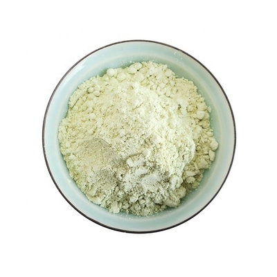 Non additifs Sushi sec Rameau sachet 1 kg poudre de Wasabi pendant 24 mois Durée de conservation
