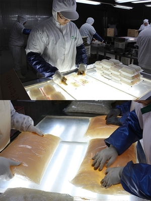 Noodles de séchage en maille de plastique blanche avec une durée de conservation de 12 mois et des noodles d'eau normale