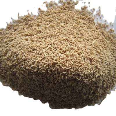 1 kg de soupe séchée chaude 500g*2/1Kg Hondashi assaisonnement aux Philippines