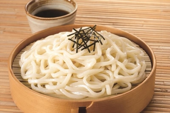 Noodles Udon congelées au sarrasin au style traditionnel japonais