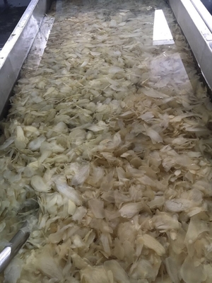 Processus du vinaigre Sushi japonais blanc rose mariné le gingembre pour la culture en plein air Type