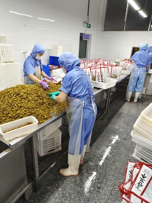 1 kg de délicieux poivron mariné frais Shibazuke vert poivron mariné Auteur japonais
