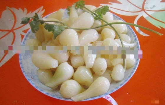 Saisons en acrylique Oignon bulbeux chinois Rakkyo stockage NORMAL CONDITIONAL saveur épicée