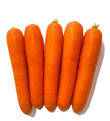4 kg carottes naturelles légumes frais légumes vertébrés