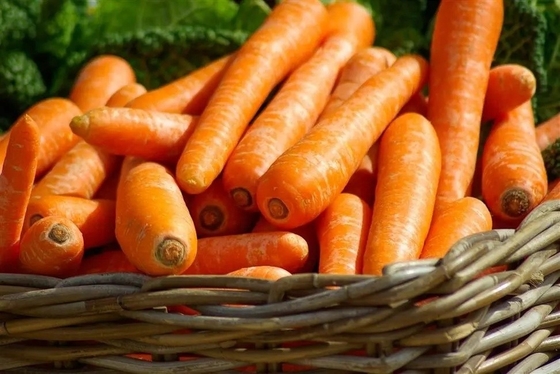 4 kg carottes naturelles légumes frais légumes vertébrés