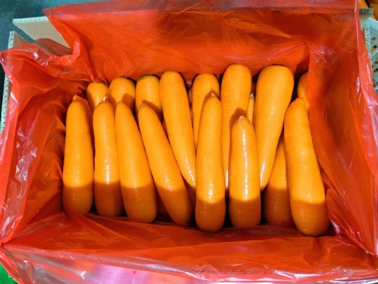 4 kg carottes naturelles légumes frais légumes vertébrés
