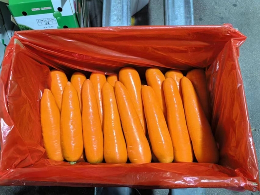 4 kg carottes naturelles légumes frais légumes vertébrés