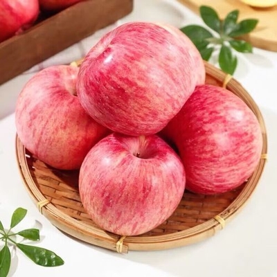 90% de maturité Fraîche pomme de Fuji Meilleur et plus commun type de culture