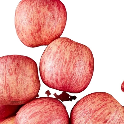 90% de maturité Fraîche pomme de Fuji Meilleur et plus commun type de culture
