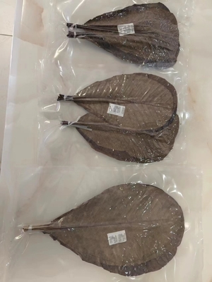 Servir des sushis avec des enveloppes de feuilles de bambou fraîches et naturelles