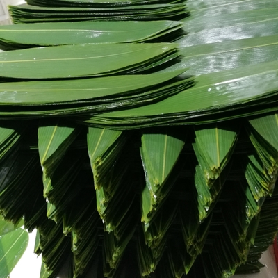 Servir des sushis avec des enveloppes de feuilles de bambou fraîches et naturelles