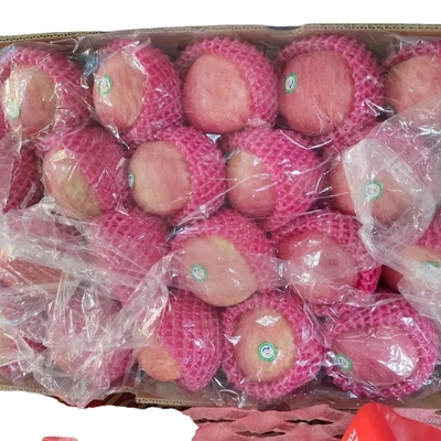 2024 Meilleures pommes vert Fuji Produit frais de 0,4 kg de poids