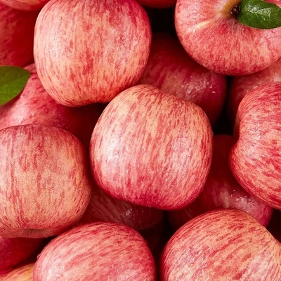 2024 Meilleures pommes vert Fuji Produit frais de 0,4 kg de poids