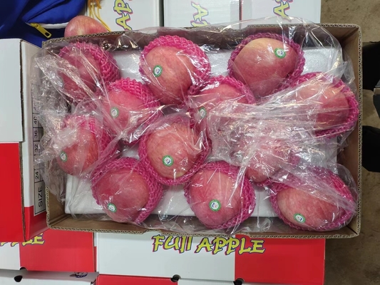 2024 Meilleures pommes vert Fuji Produit frais de 0,4 kg de poids
