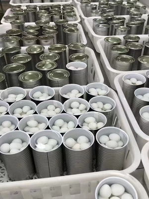 425g d' œufs de caille en conserve cuits pour les besoins des clients de SHANDONG