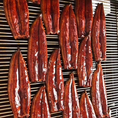 Des morceaux d'anguille Unagi grillés surgelés l' ingrédient parfait pour vos recettes