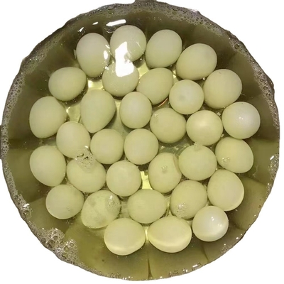 Ouvres de table fraîches à haute teneur en protéines, brunes et blanches, cuites, 425 g, en conserve, salées
