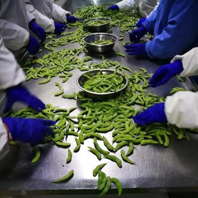 Certifié IQF Edamame congelé à la vapeur de qualité A pour les collations rapides et faciles
