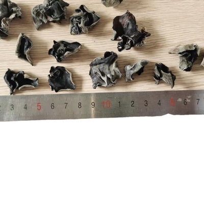 Type de stockage séché à froid Champignon noir séché pour la médecine traditionnelle chinoise