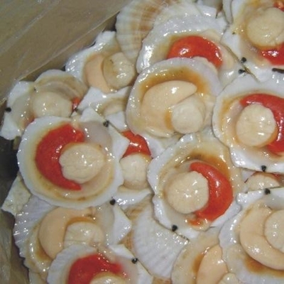 C'est pourquoi il est fortement recommandé de congeler les coquillages à demi-coquille avec un procédé de congélation BQF.