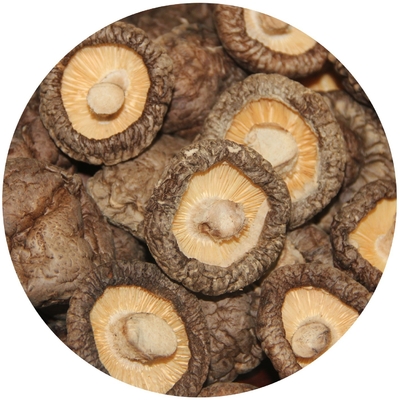Extrait de champignon à crinière de lion brun Champignon shiitake séché 1 kg par sac