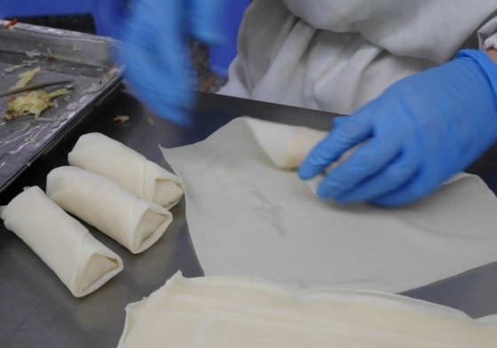 Des rouleaux de légumes surgelés sains pour un plat nutritif et savoureux